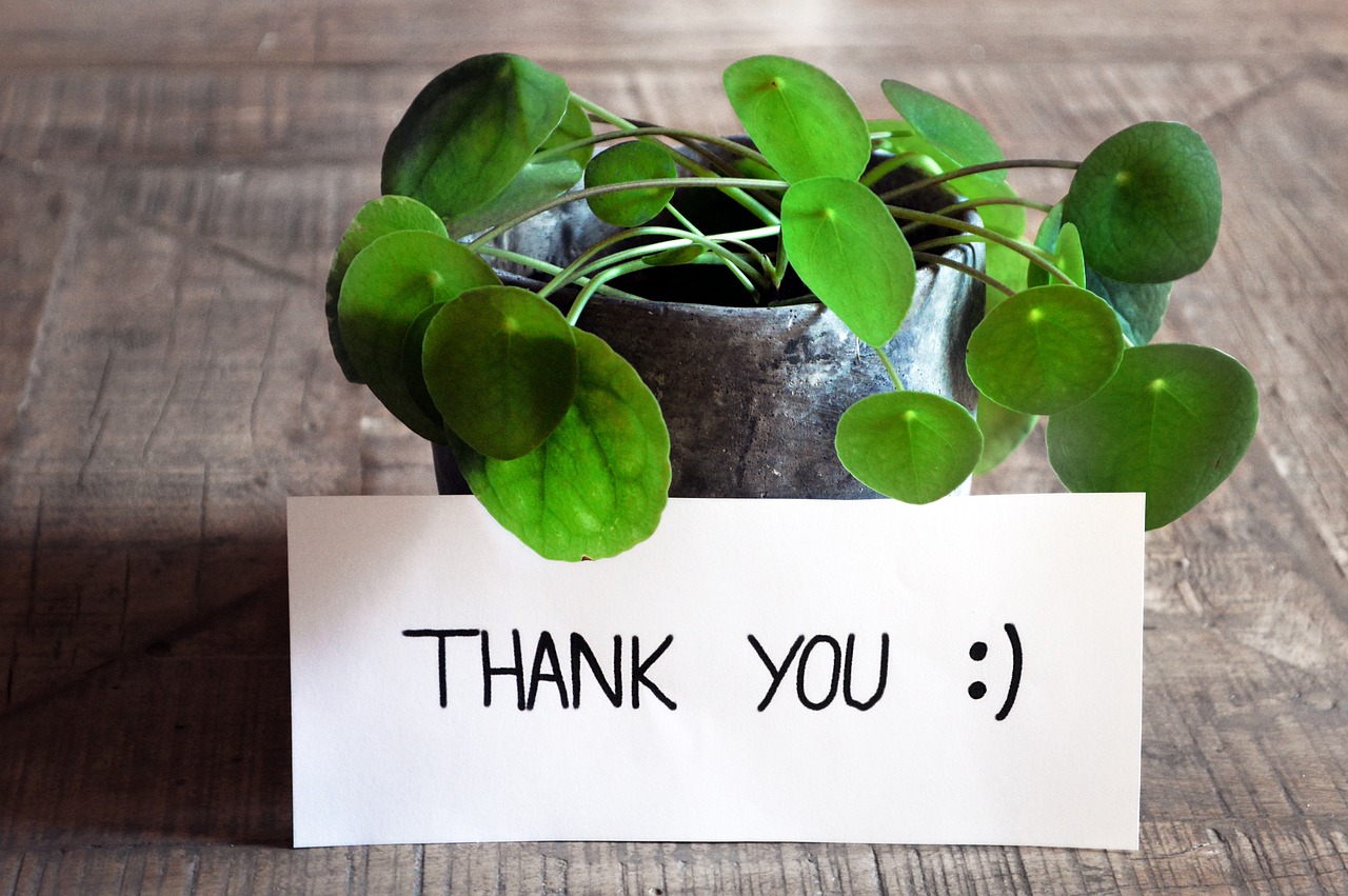 7 cách cảm ơn bằng tiếng Anh ngoài “thank you" giao tiếp IELTS