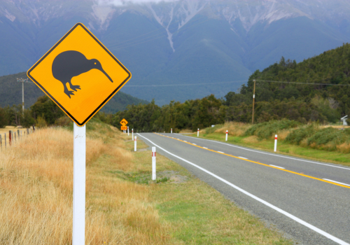 Hành trình 6 năm để định cư ở New Zealand giao tiếp IELTS