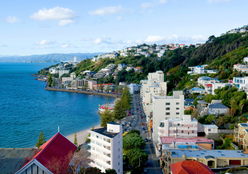 Làm việc ở New Zealand, được và mất giao tiếp IELTS