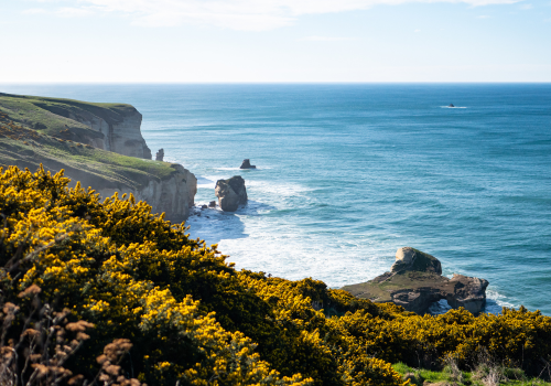 Làm việc ở New Zealand, được và mất giao tiếp IELTS