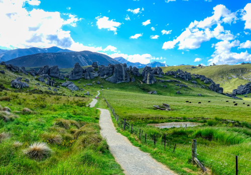 Làm việc ở New Zealand, được và mất giao tiếp IELTS