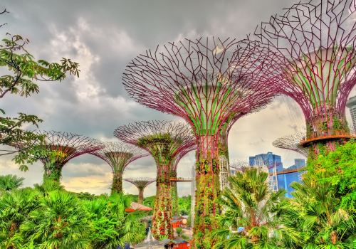 1 ngày làm việc tại Singapore của Product Manager Trang Phan Giao tiếp IELTS