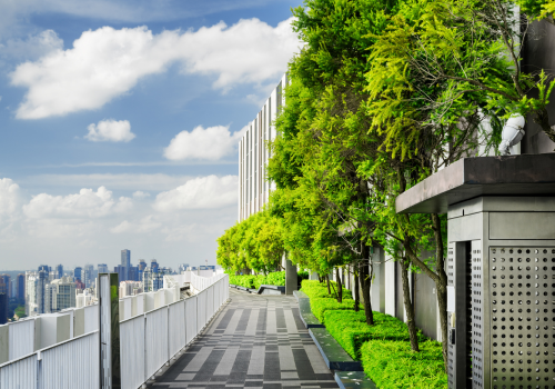 Cơ hội và thách thức khi làm việc ở Singapore Giao tiếp IELTS